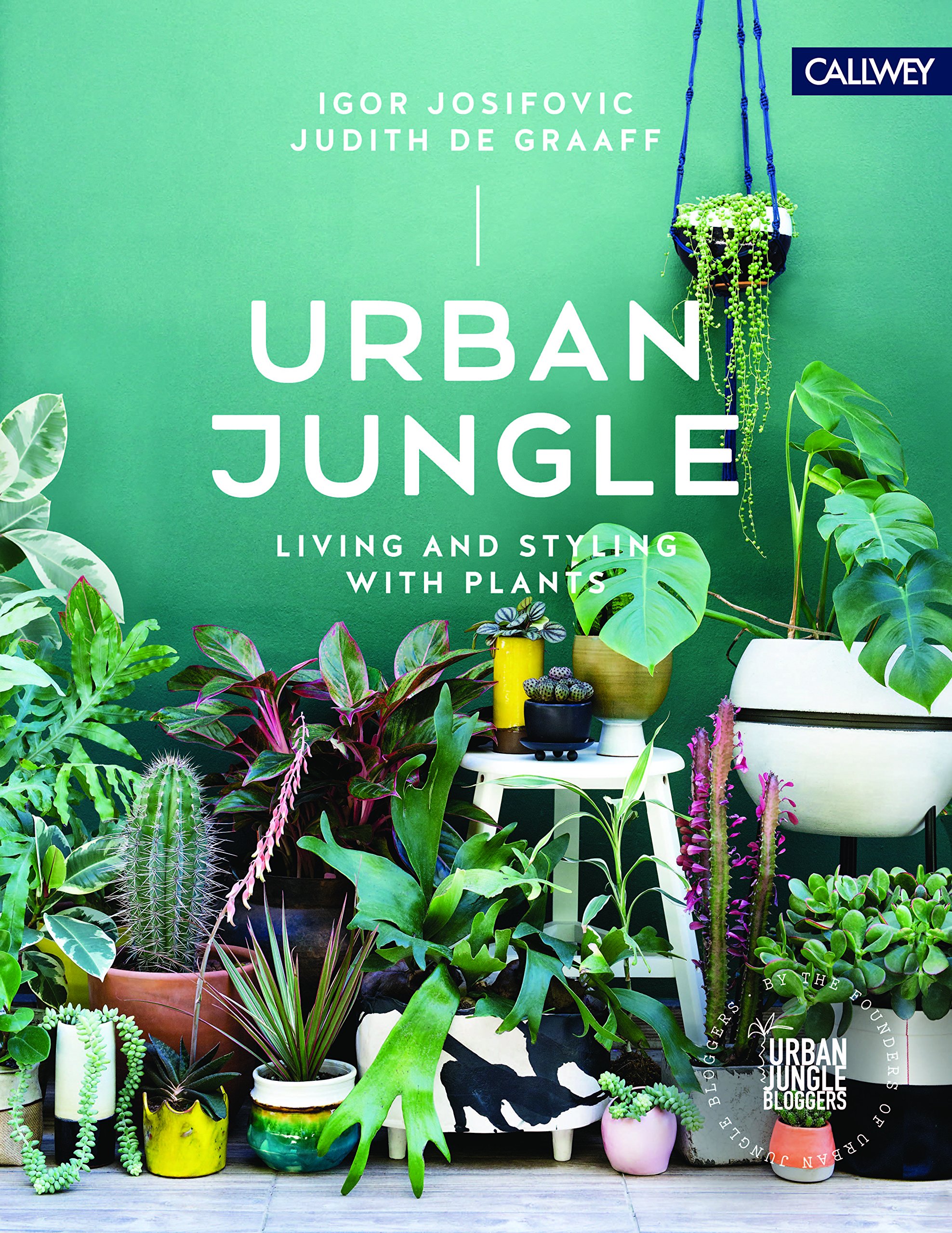 O que é urban jungle? Conheça essa tendência que veio para ficar